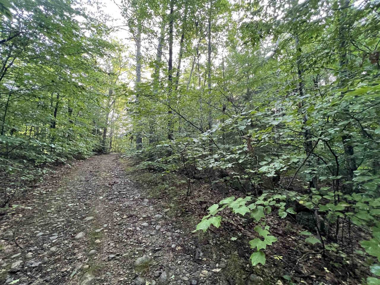 Map 6, Lot 38 Chadwick Hill Road - Photo 1