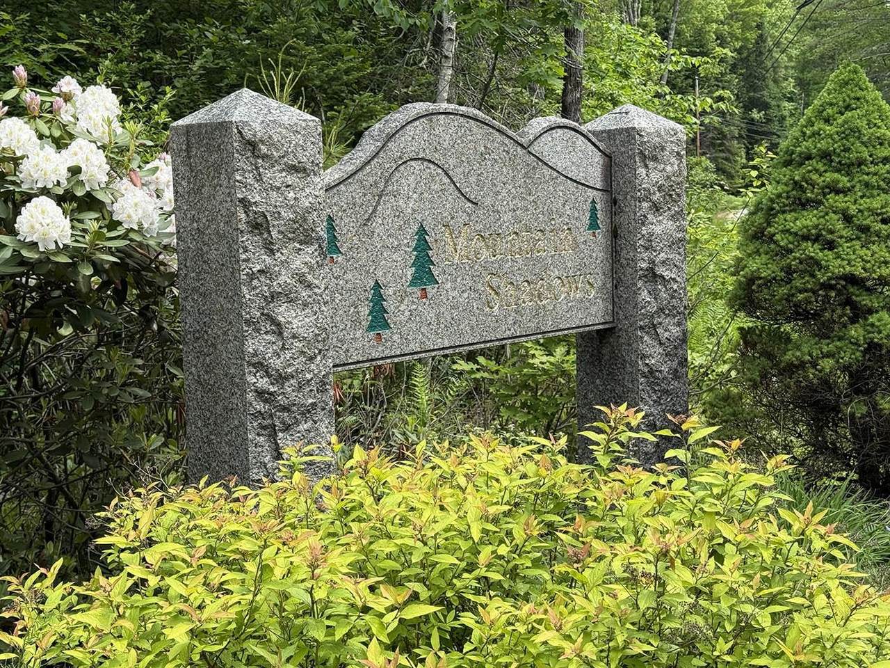 41 Winchester Lane - Photo 1