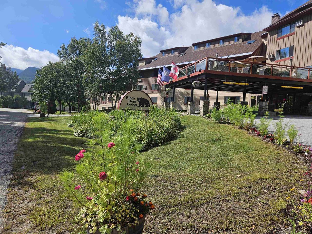 23 Black Bear Way - Photo 1