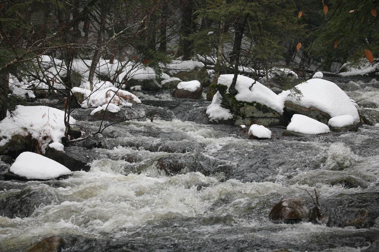 481 Chocorua Mountain Highway - Photo 1