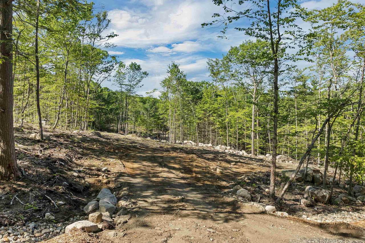 0 Innsbruck Drive - Photo 1