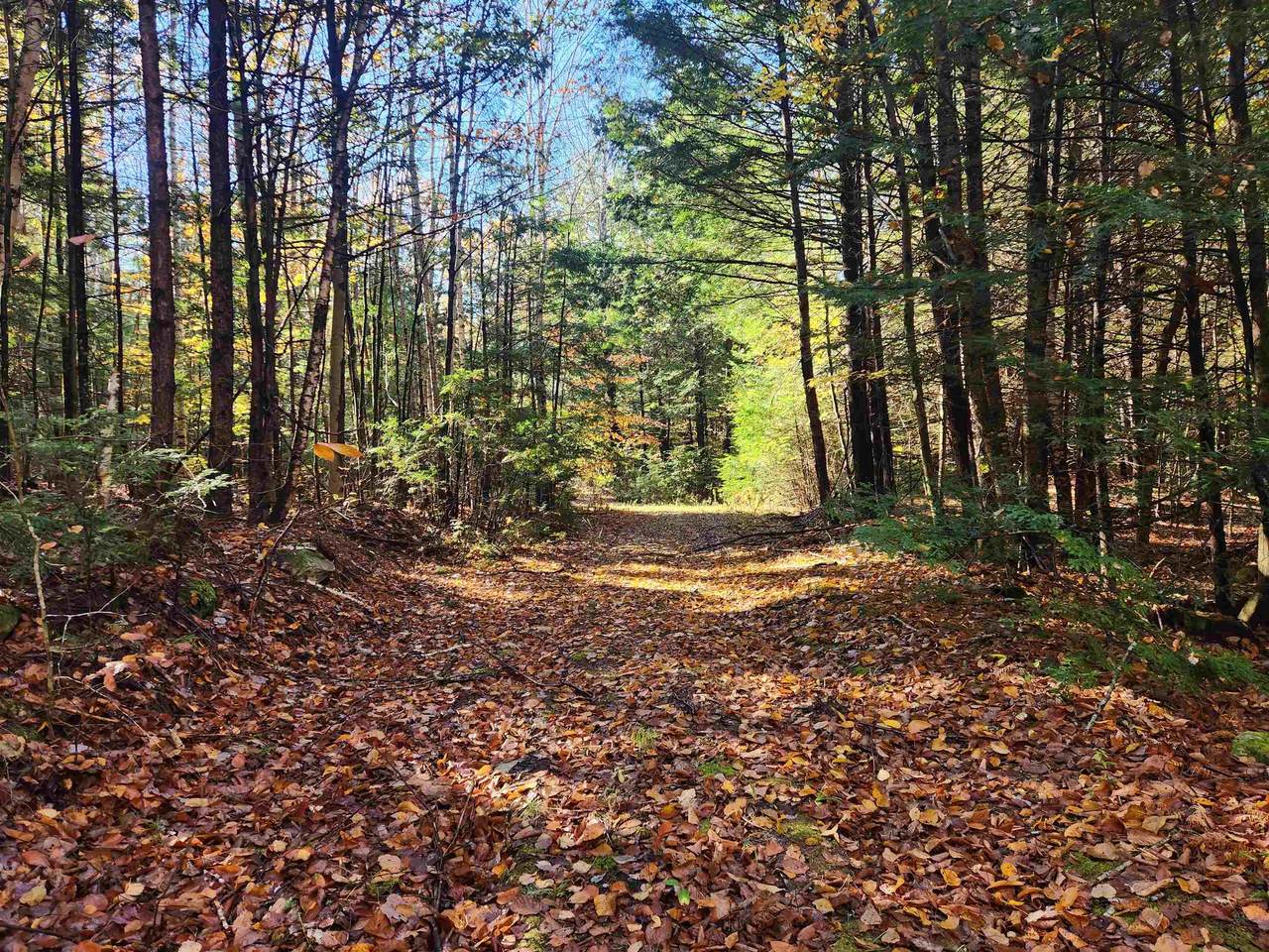 R02-13 Calef Hill Road - Photo 1