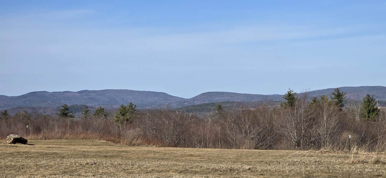 86 Bingham Road - Photo 1