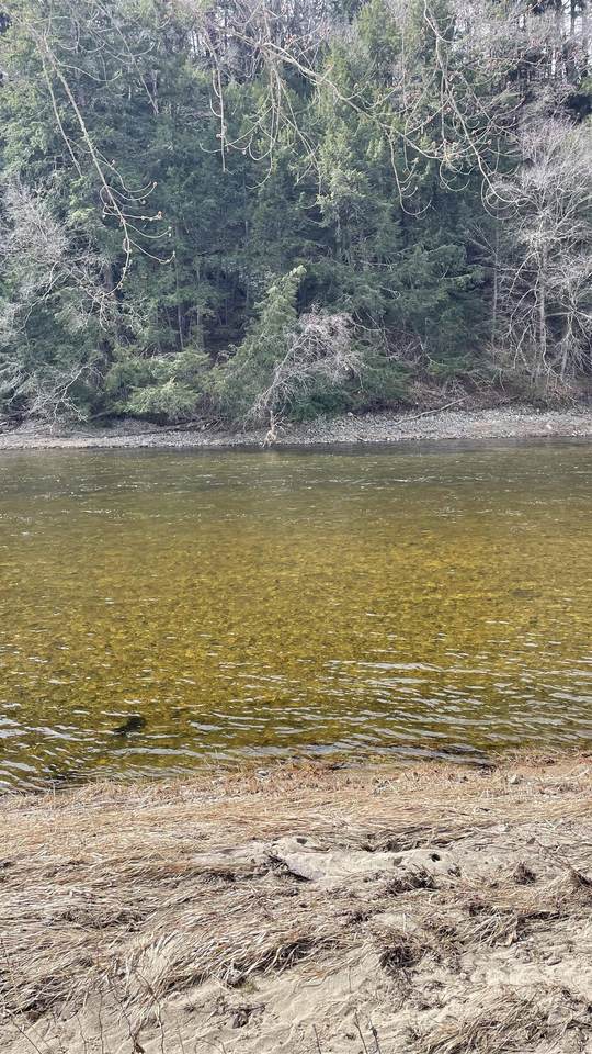 0 Lisbon Road - Photo 1