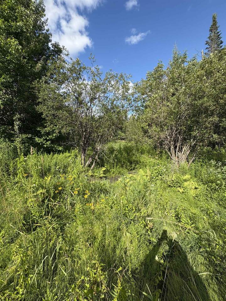  Partridge Lane - Photo 1