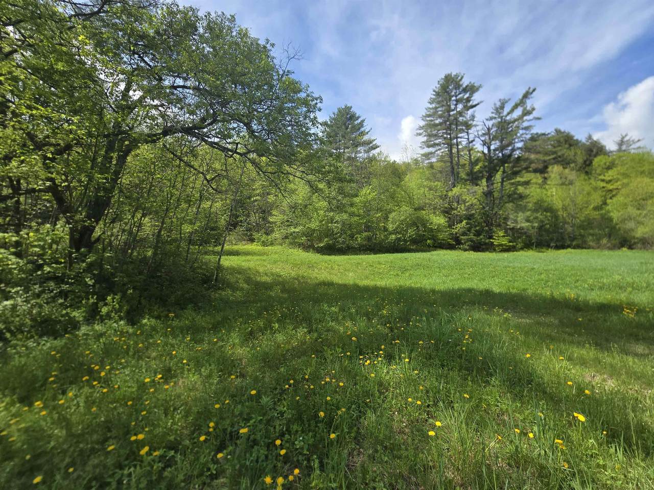 563 Simonsville Road - Photo 1