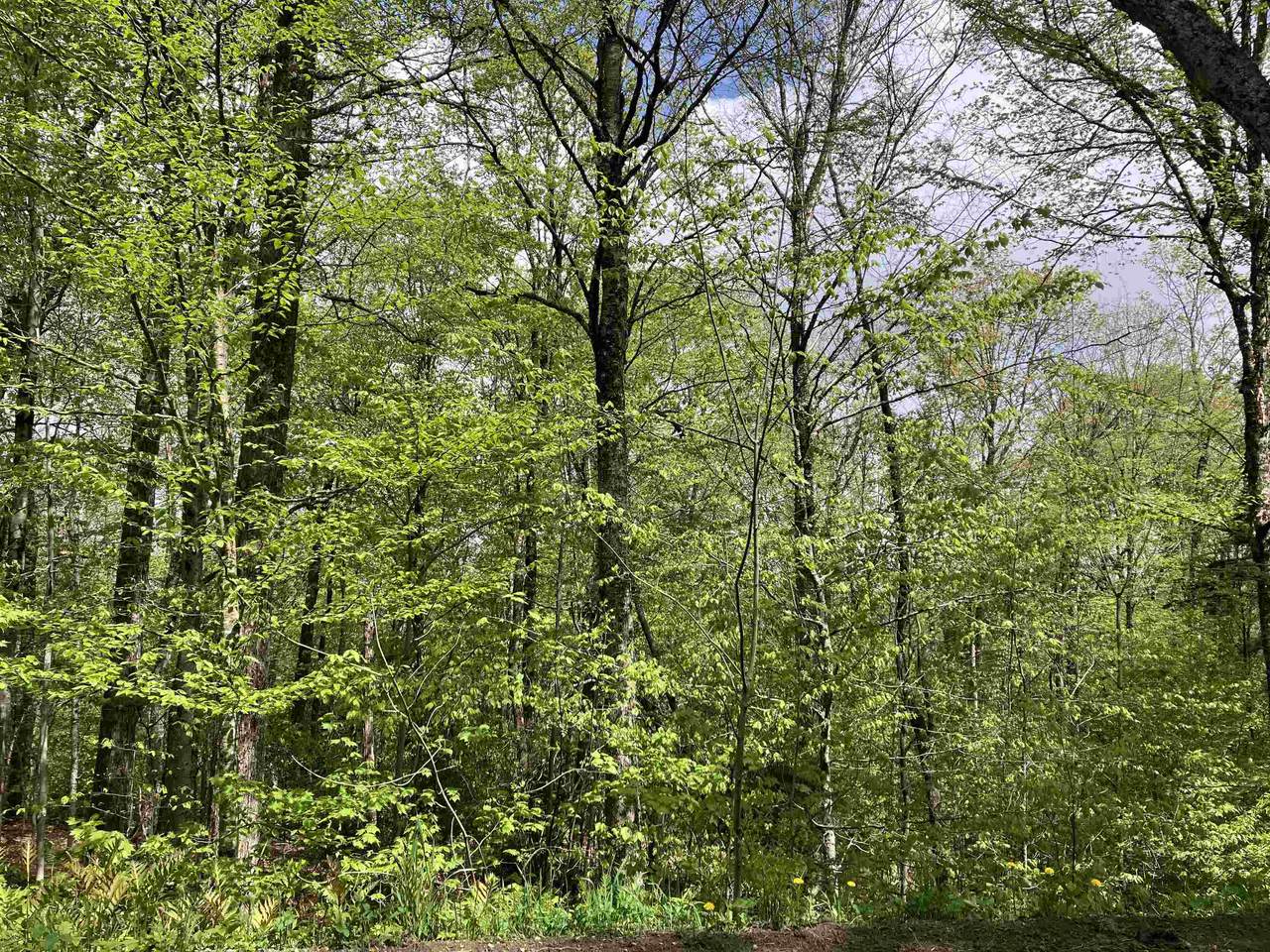139 Big Bend Loop - Photo 1