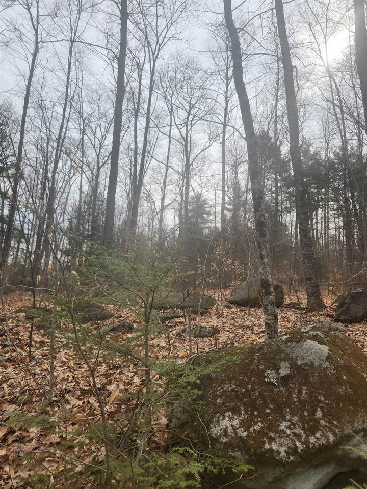 0 Attleboro Mountain Road - Photo 1