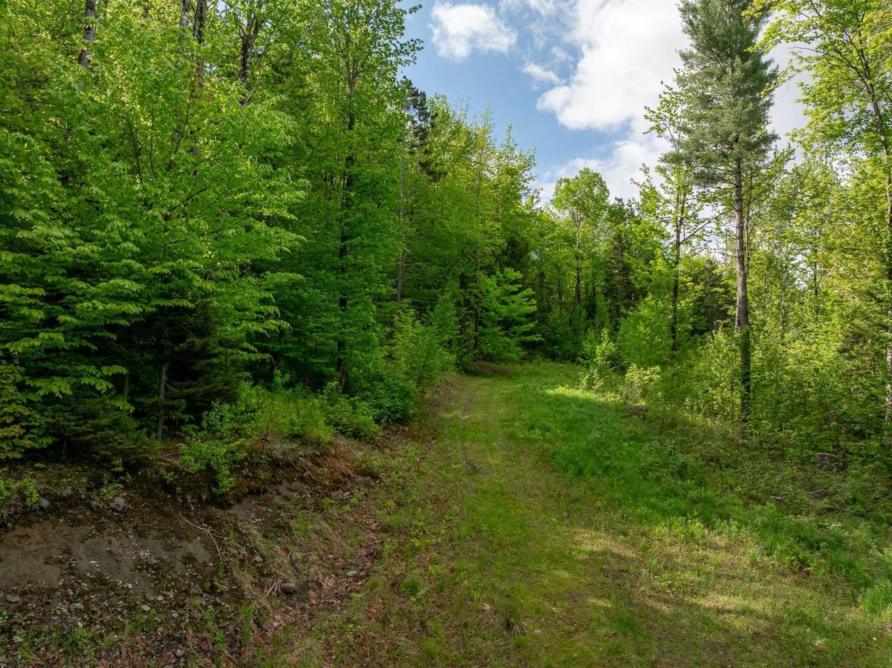 00 Bear Creek Lane - Photo 1