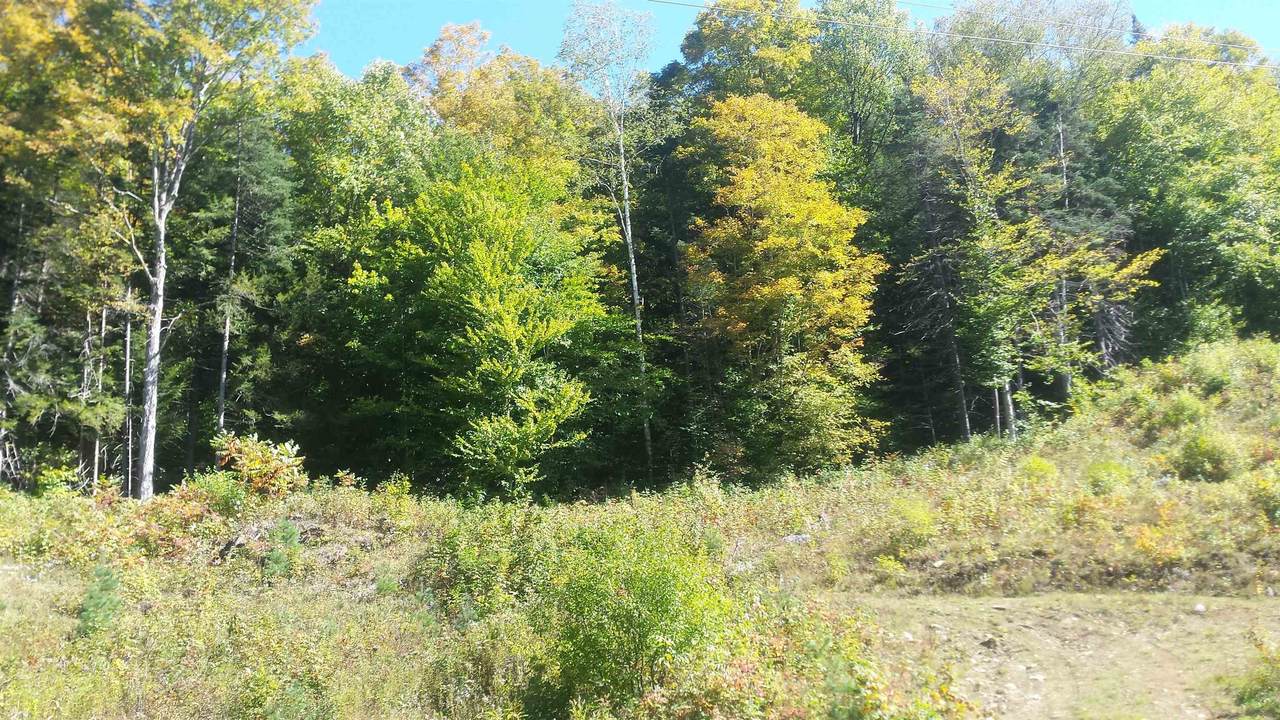 522 Justin Morrill Memorial Highway - Photo 1