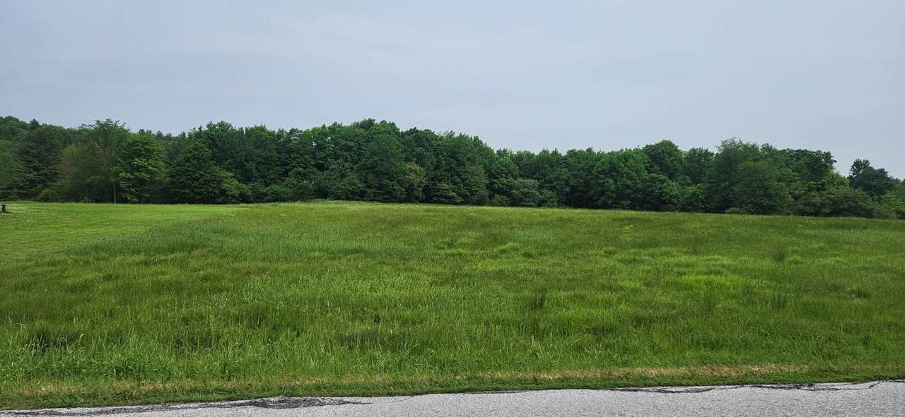 2051 Sheldon Woods Road - Photo 1