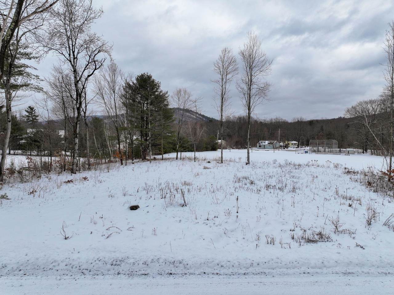 Lot 1C Daisy Lane - Photo 1