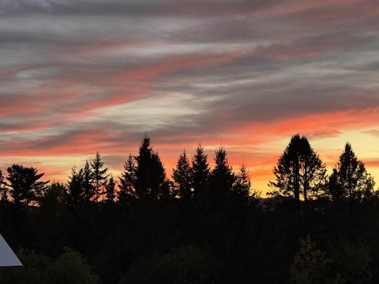 869 Piper Hill Road - Photo 1