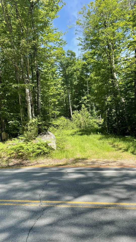 961 Maple Street - Photo 1
