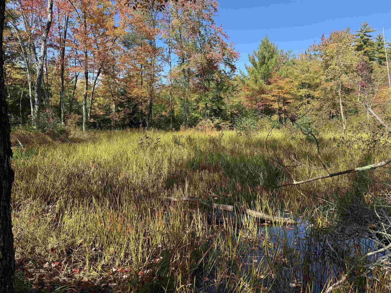 0 Green Mountain Road - Photo 1