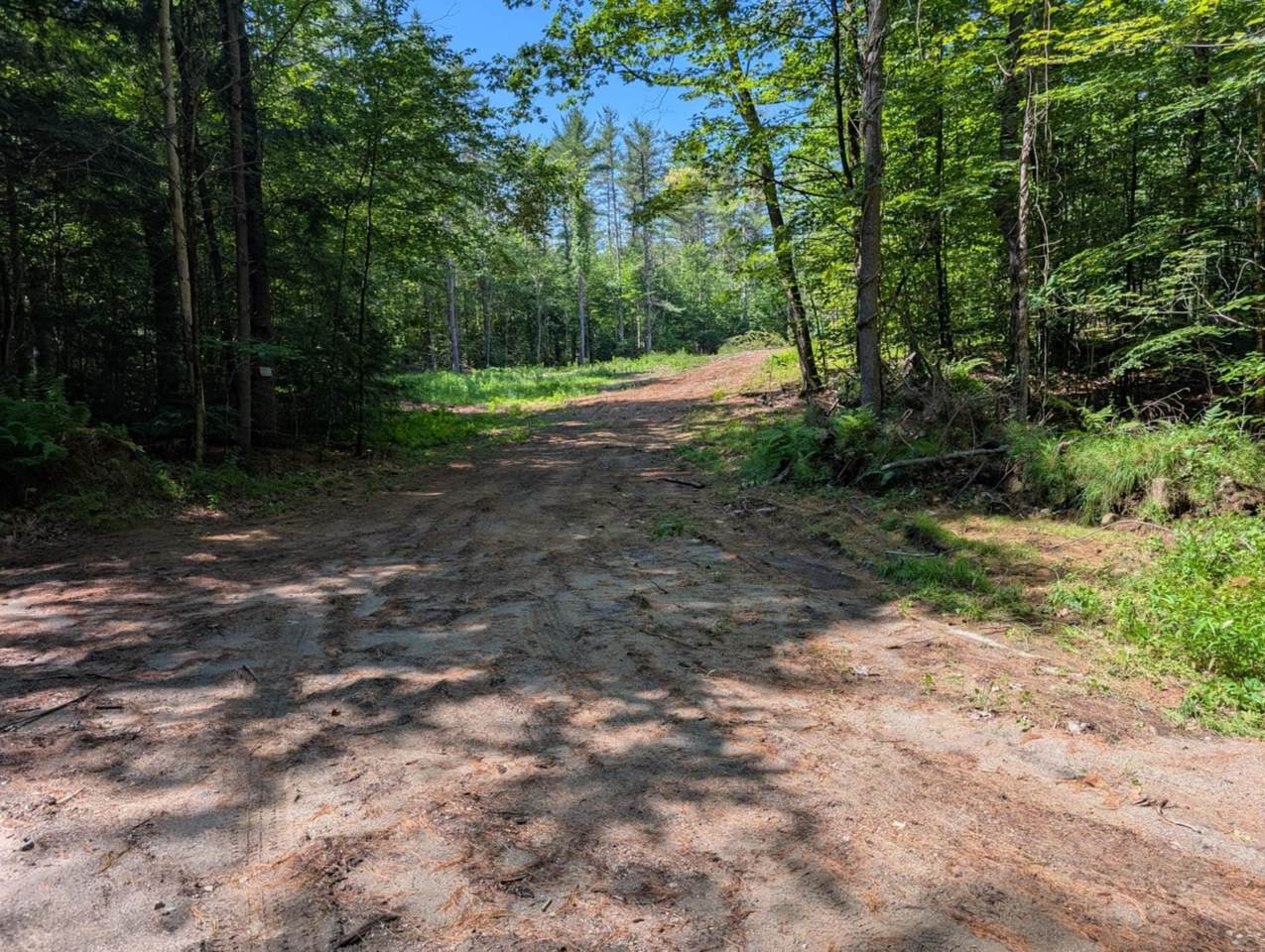 Lot 11-02 Old Stagecoach Road - Photo 1