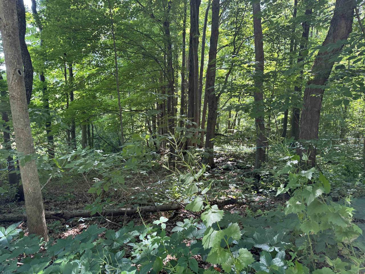 https://bt-photos.global.ssl.fastly.net/nneren/1280_boomver_1_5048850-2.jpg