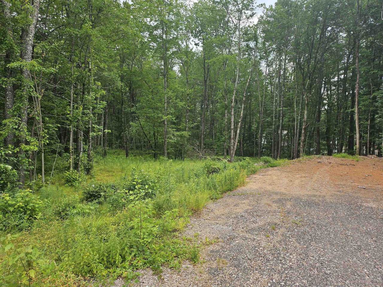 345 Route 13 - Photo 1