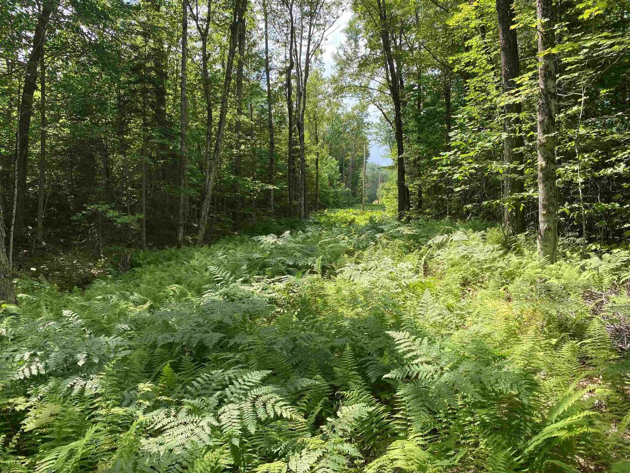 523 N Groton Road - Photo 1