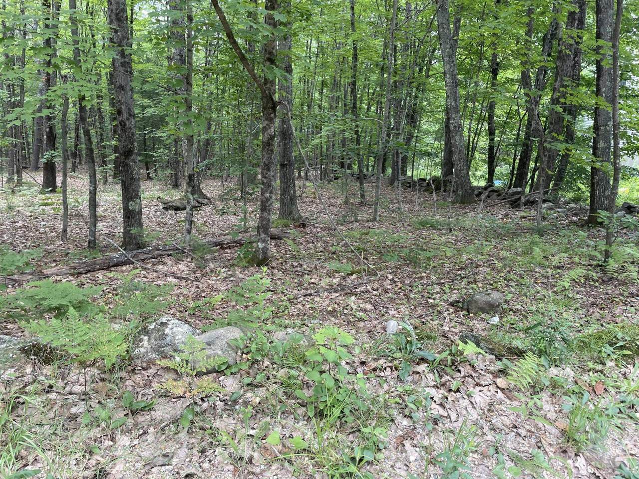 956 N Barnstead Road - Photo 1