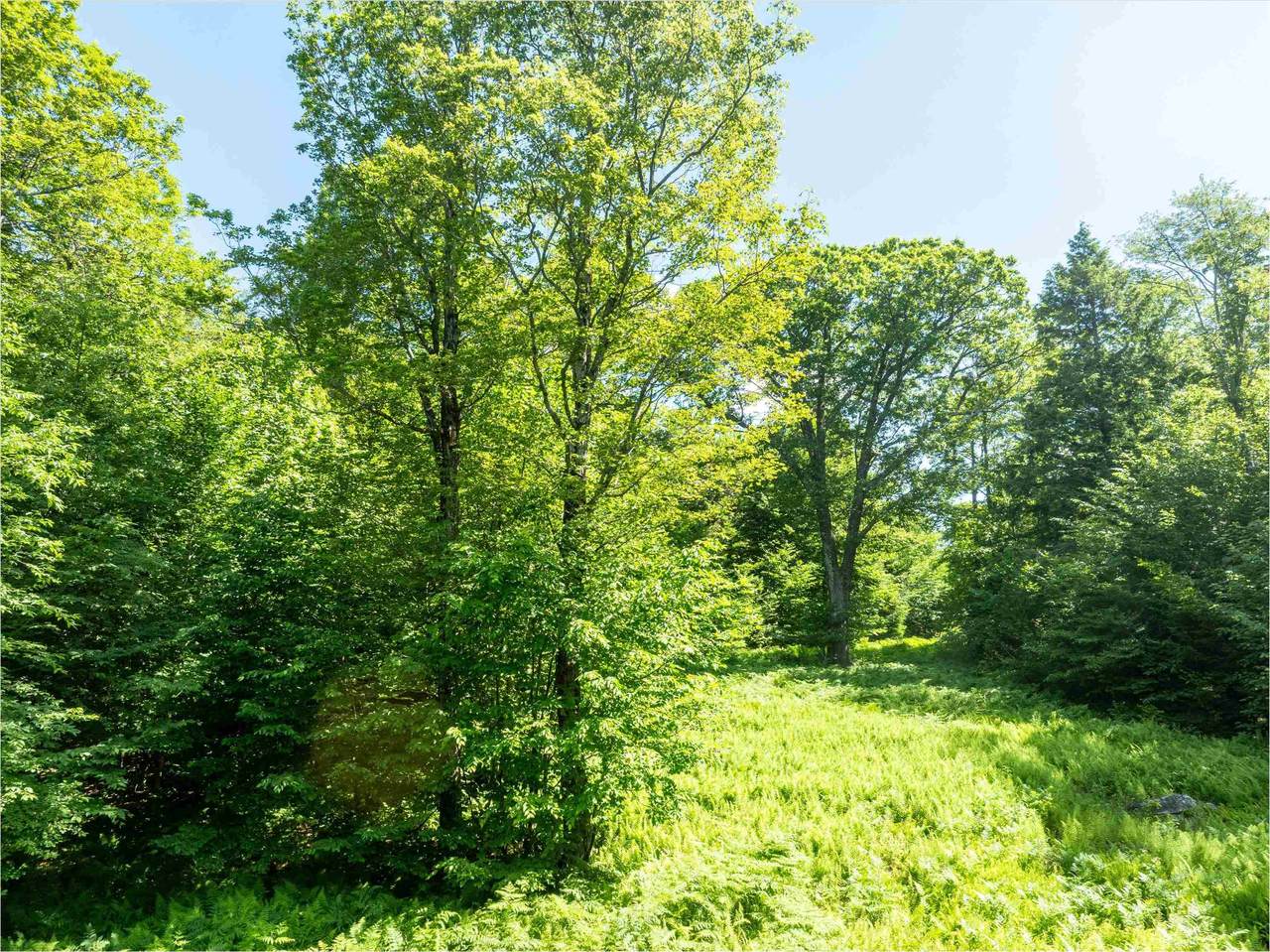 00 Turtle Hill Road - Photo 1