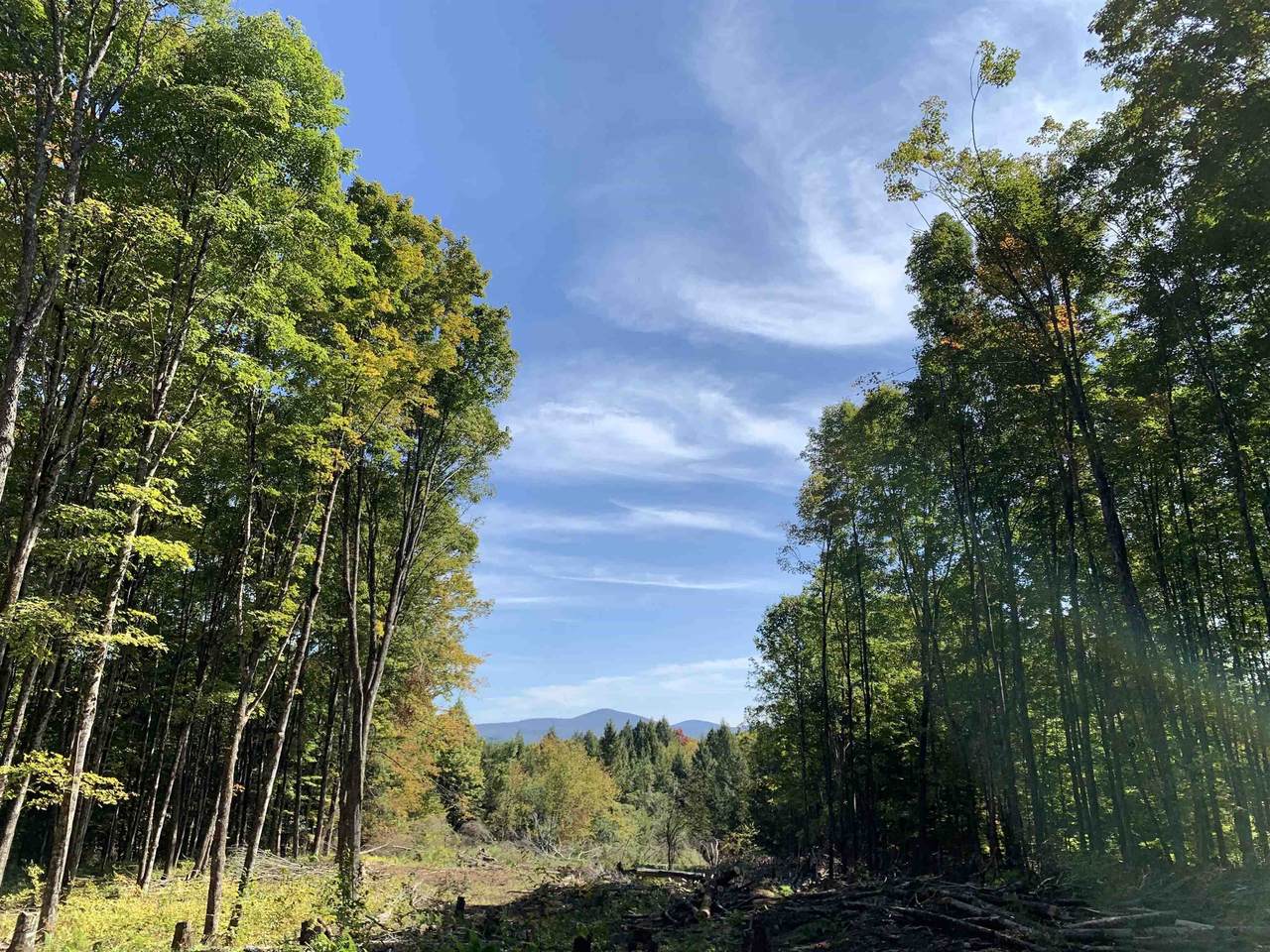 00 Vt Route 14 - Photo 1