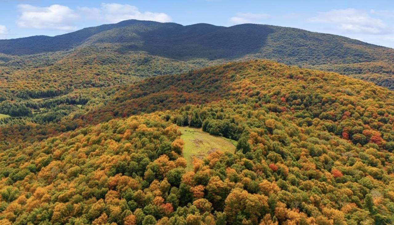 0 Deep Gibou Road - Photo 1