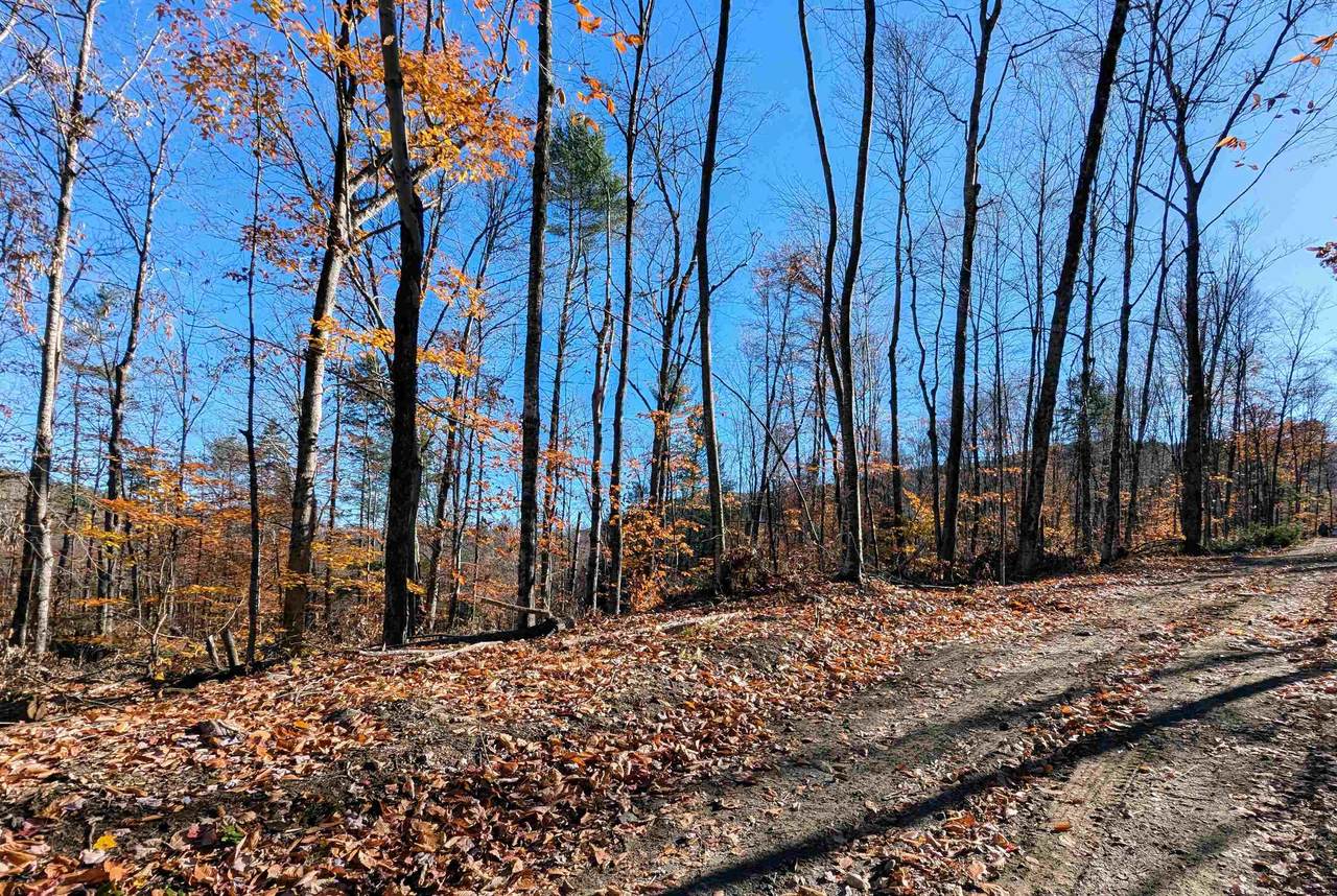 0 Dover Road - Photo 1