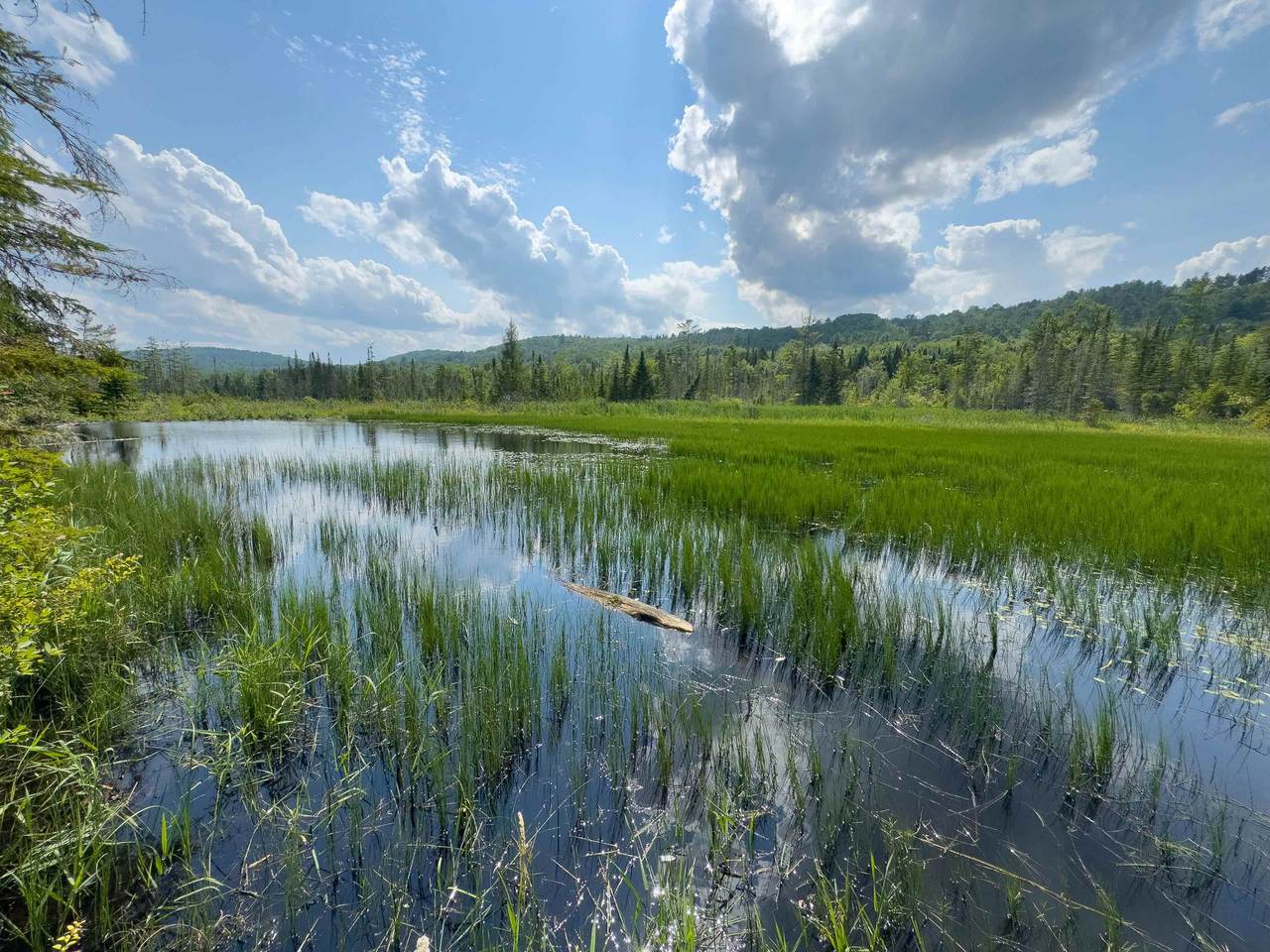 00 Scotch Hollow Road - Photo 1