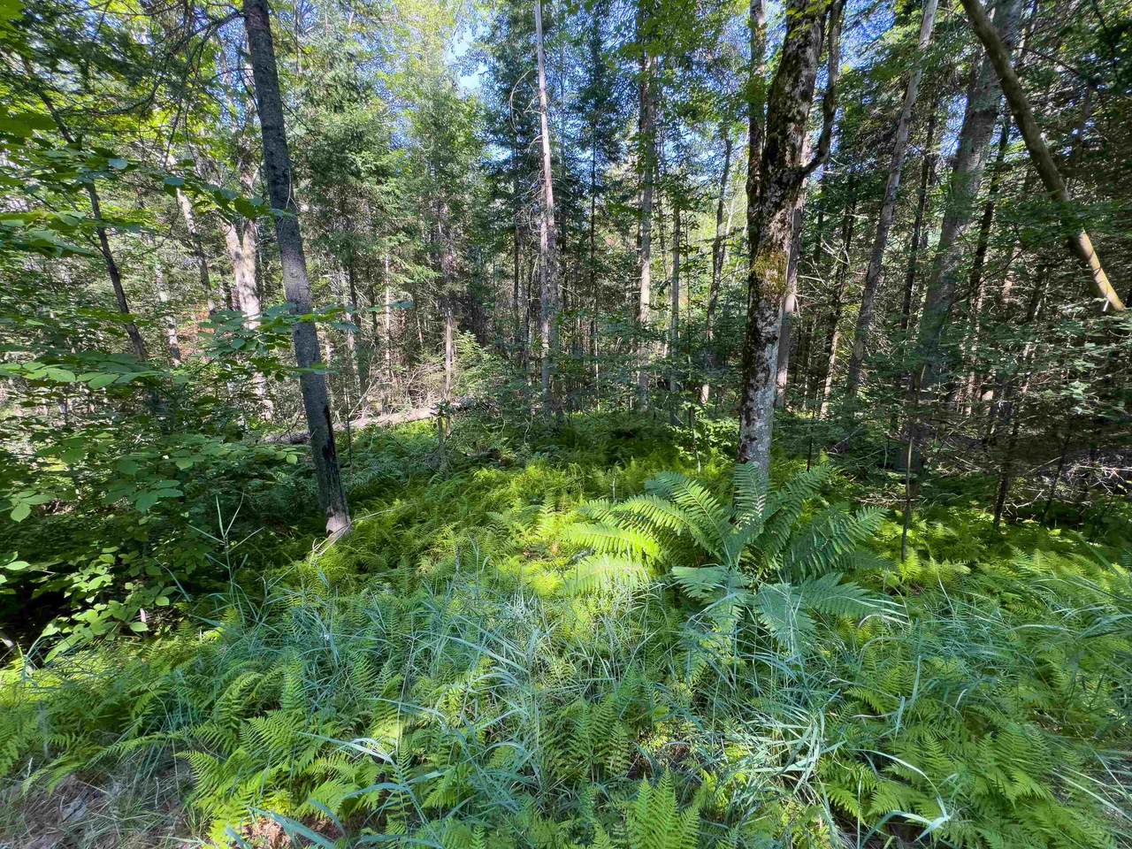 00 Brushwood Road - Photo 1