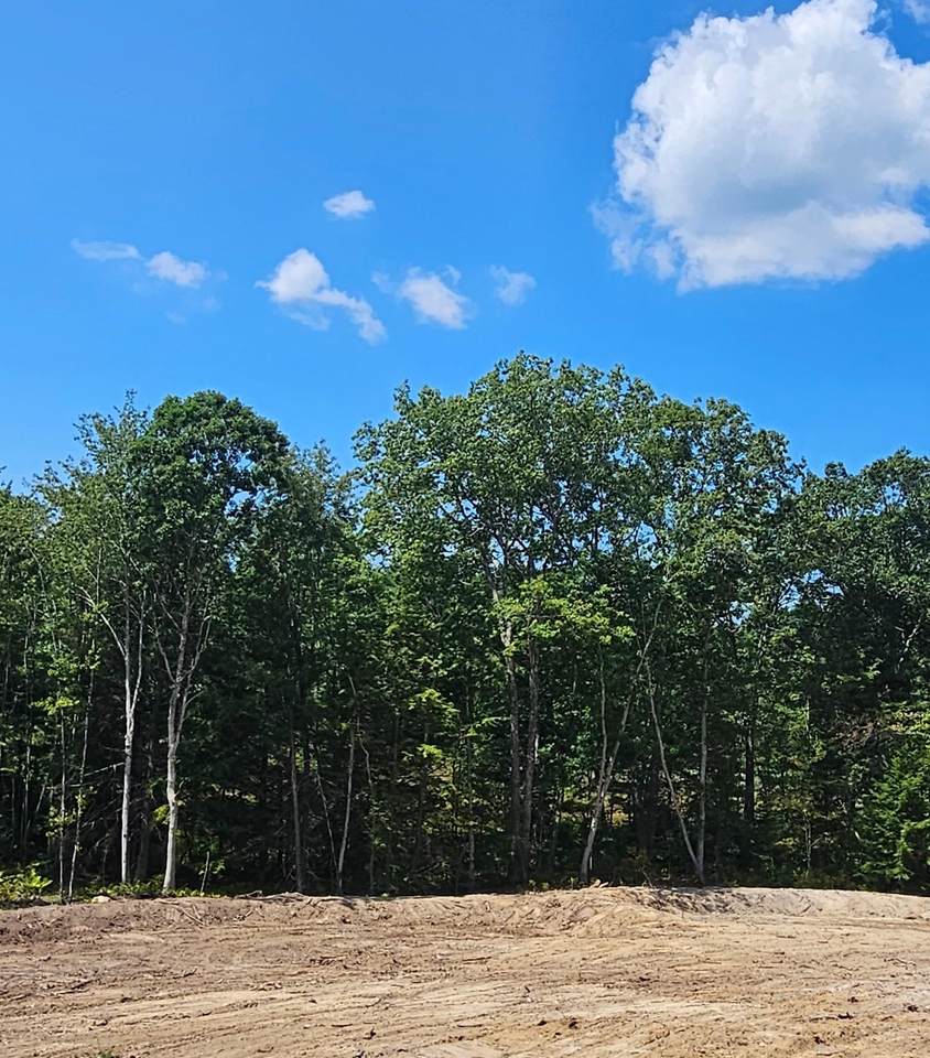 29 Blaisdell Court - Photo 1