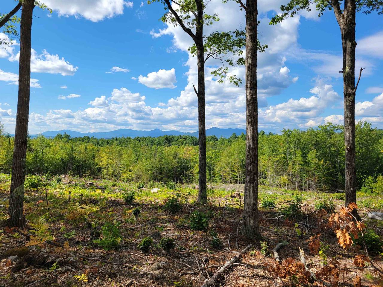 238-1-1.2 Maple Grove Road - Photo 1