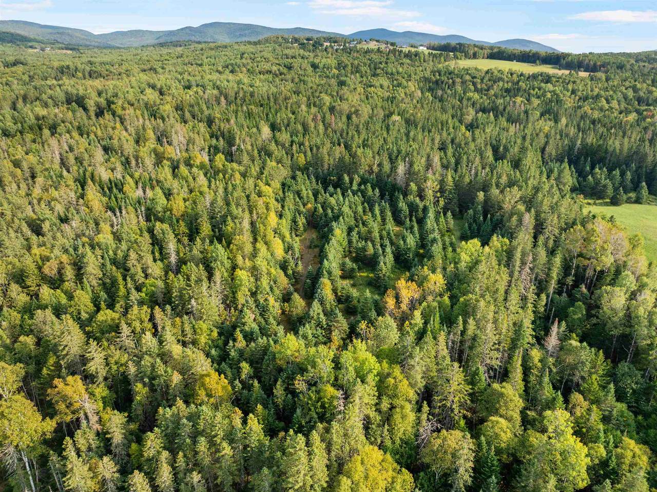  Harrys Way - Photo 1