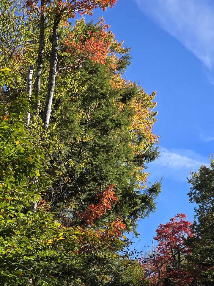 0 Klondike Road - Photo 1