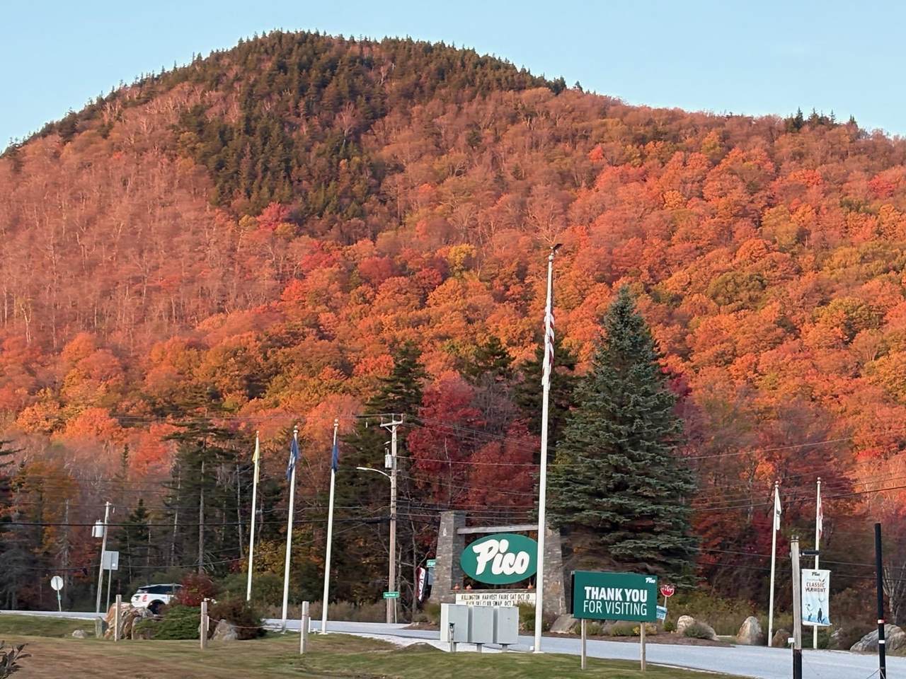 73 Alpine Drive - Photo 1