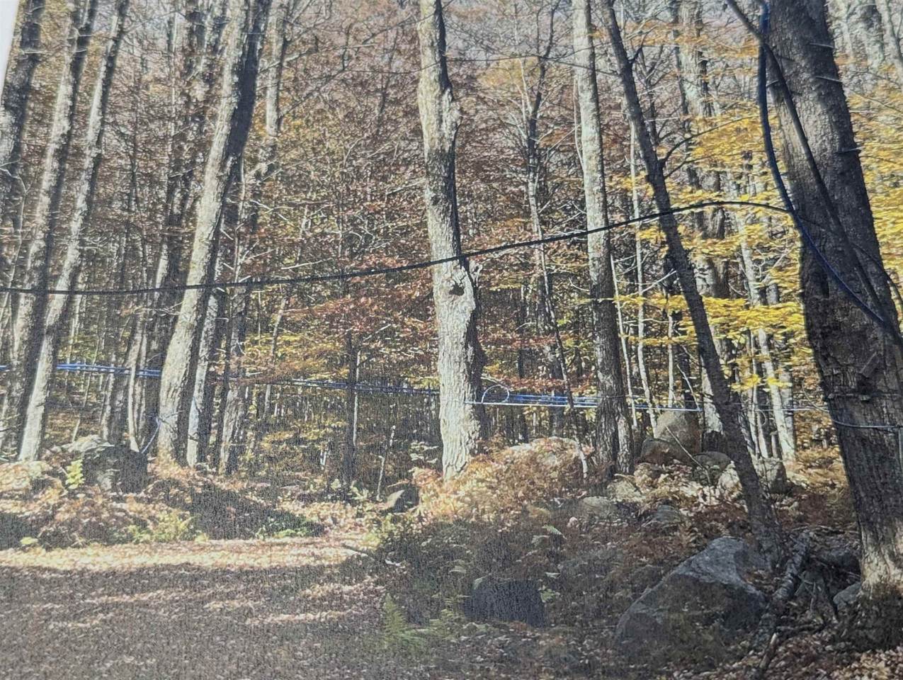 1928 Vt. Rte. 131 - Photo 1