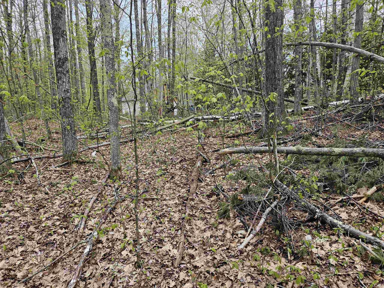 Lot 124 Paulsen Circle - Photo 1