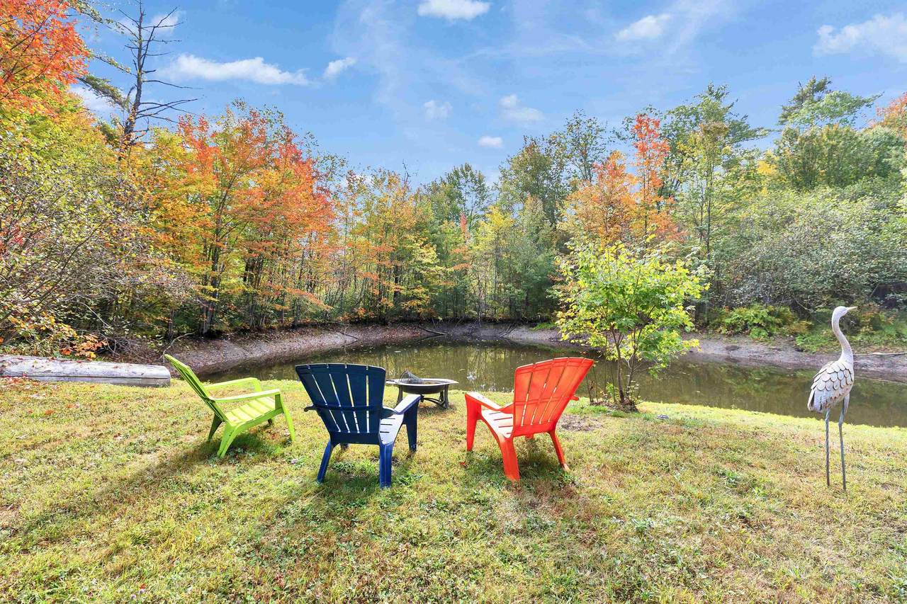 231 Patterson Hill Road - Photo 1