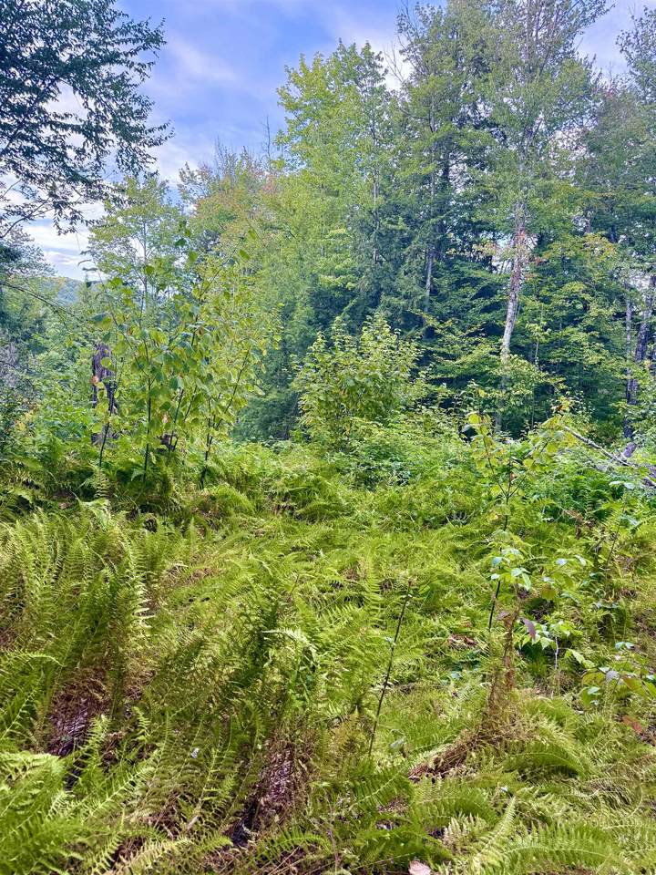 664 Ranney Road - Photo 1