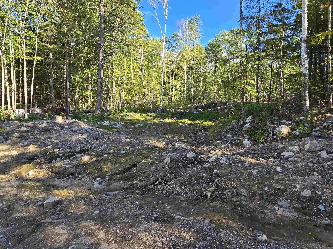 000 Garmish Drive - Photo 1