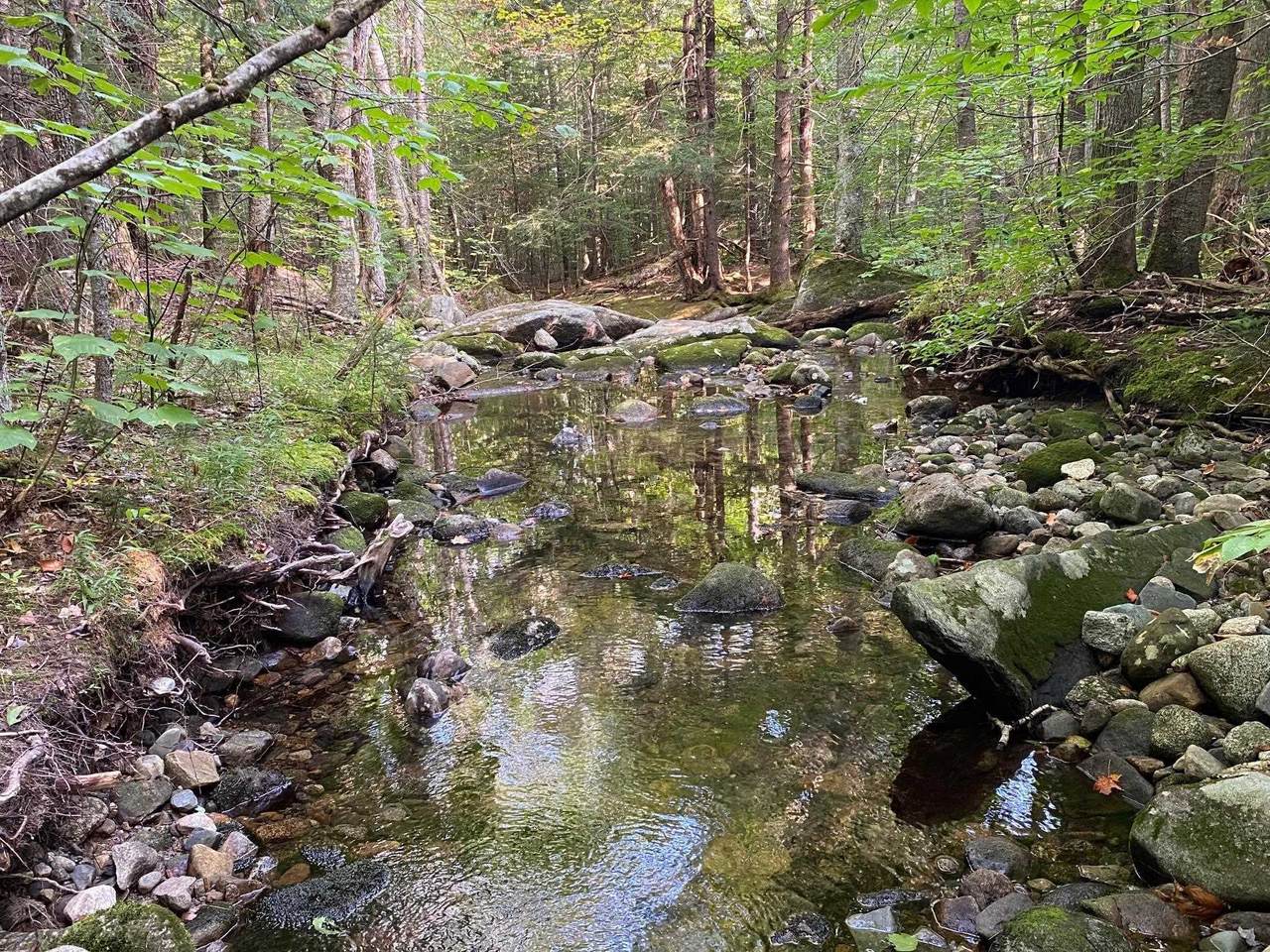 1 Government Woods Road - Photo 1