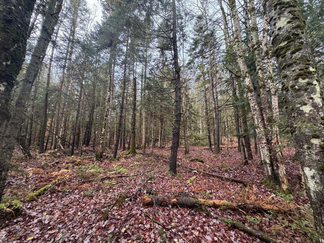 10 Hampshire Hill Road - Photo 1