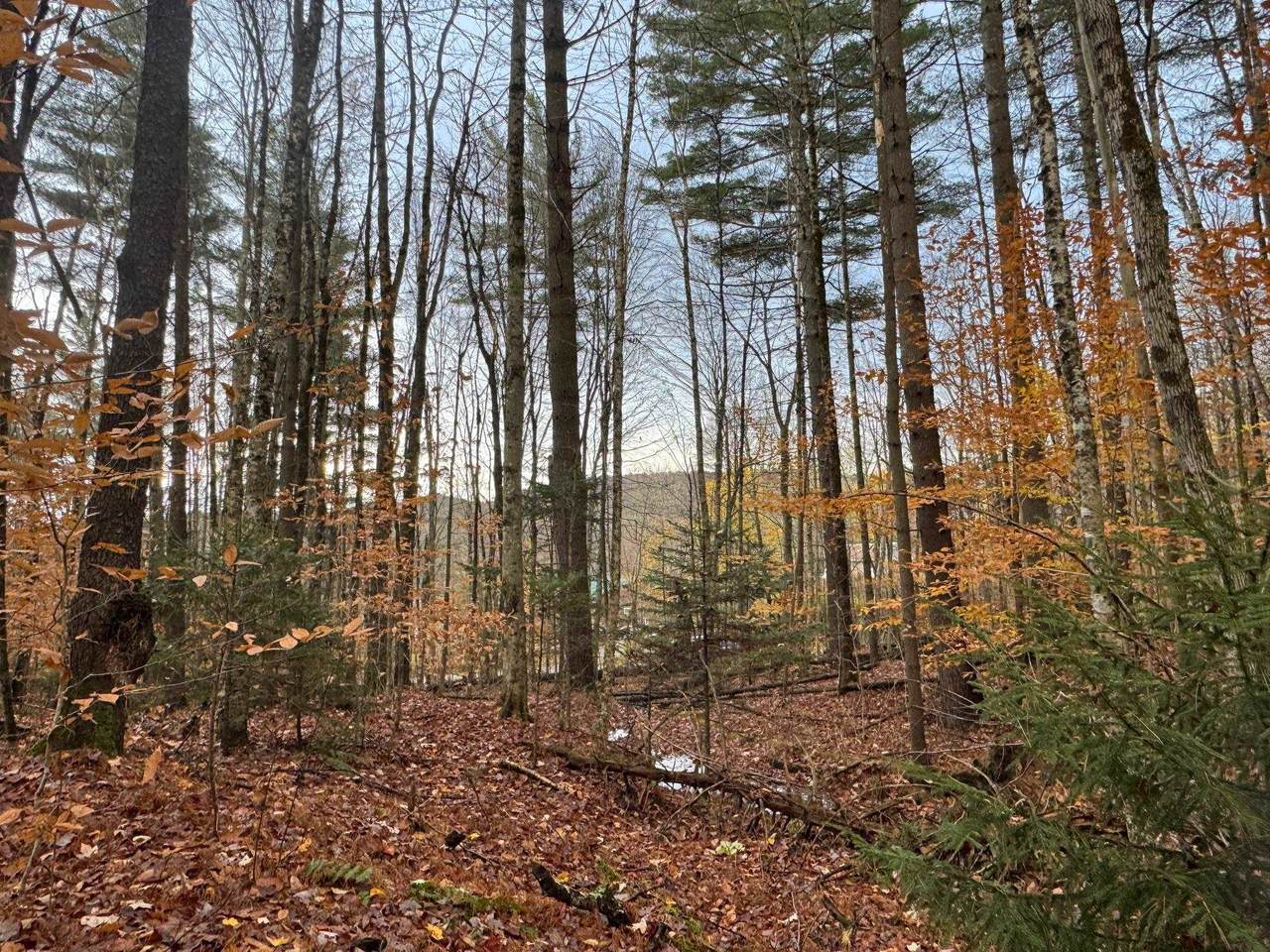 41 E Hampshire Hill Road - Photo 1