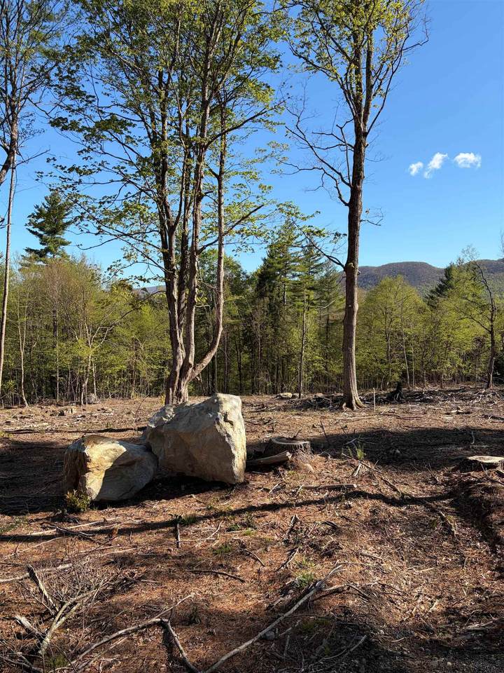 lot B Frost Pond Road - Photo 1