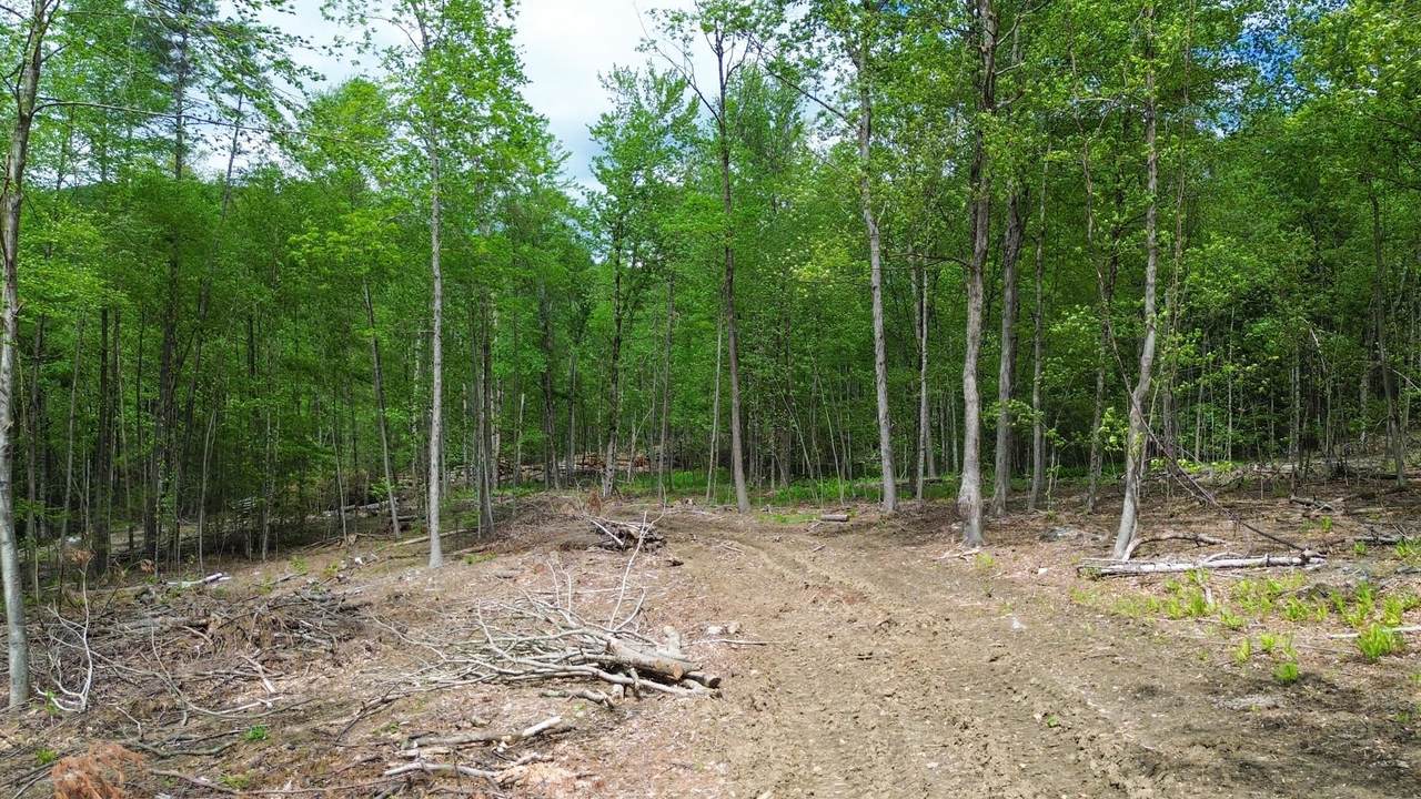 Lot 26-3 Plain Road - Photo 1