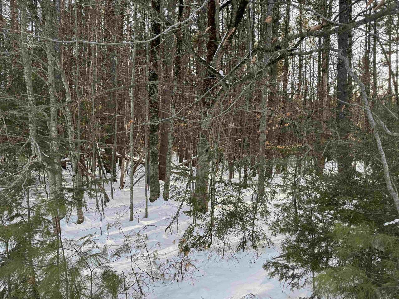 00 Route 25 W - Photo 1