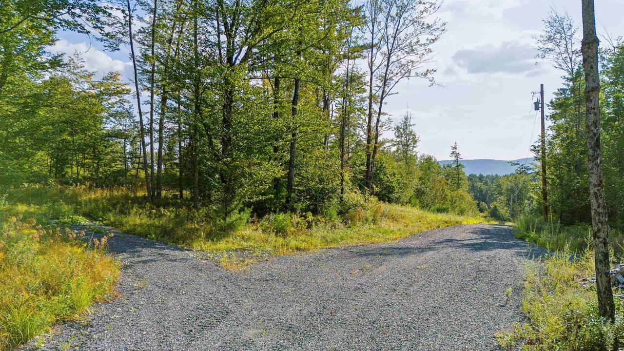 00 Wildlife Road - Photo 1