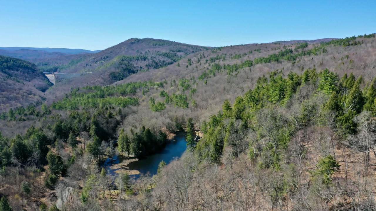 00 Turkey Mountain Road - Photo 1