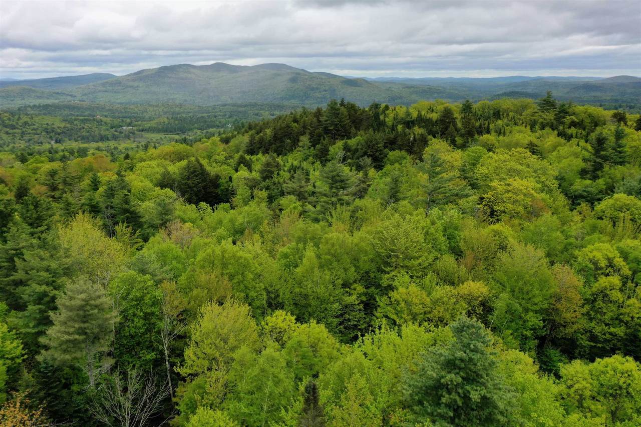 Lot 16 Granite Hill Road - Photo 1