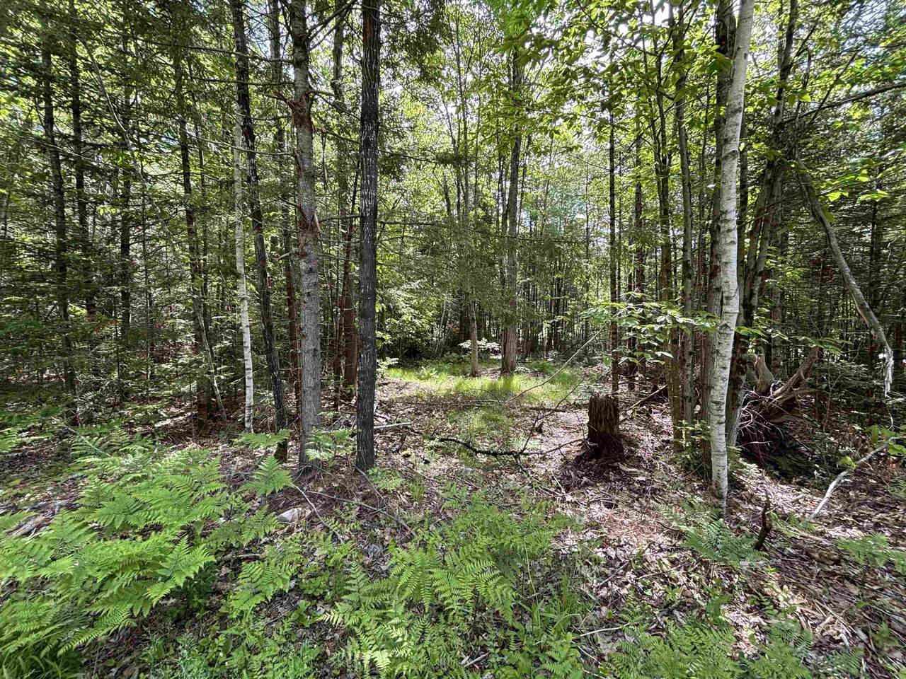37446 North Shore/Washington Drive - Photo 1